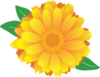 393x301 Coconut Oil, Certified Organic