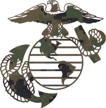 210x214 Marine Corps Icon