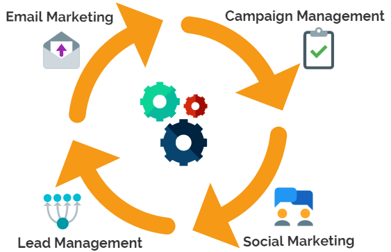 563x362 Webinar On Graduating From Email Marketing Brainsell Blog