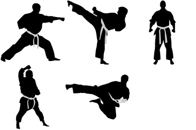390x260 Karate Iconset