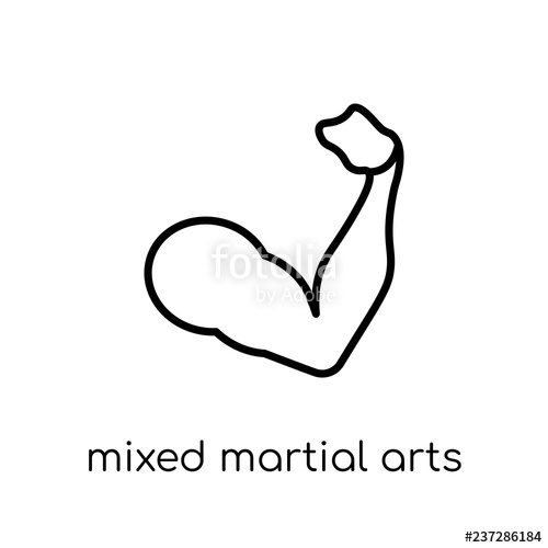 500x500 Mixed Martial Arts Icon Trendy Modern Flat Linear Vector Mixed