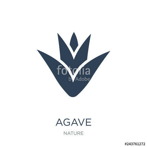 500x500 Agave Icon Vector On White Background, Agave Trendy Filled Icons
