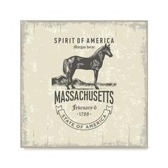 240x240 Massachusetts