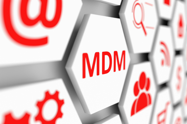 Master Data Management 600x400 Master Data Management