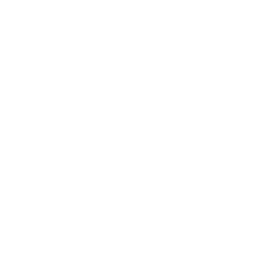 White Mastercard Icon 256x256 White Mastercard Icon