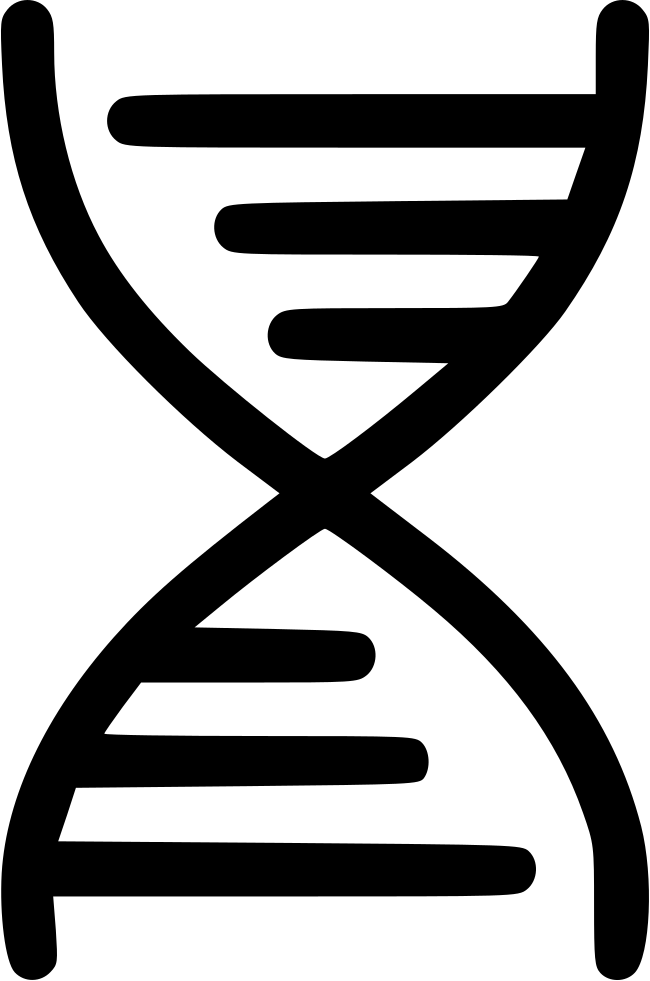 Dna Science Biometric Data Medical Education Matching Png Icon 650x981 Dna Science Biometric Data Medical Education Matching Png Icon