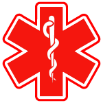 150x150 Medical Alert Rectangle Labels