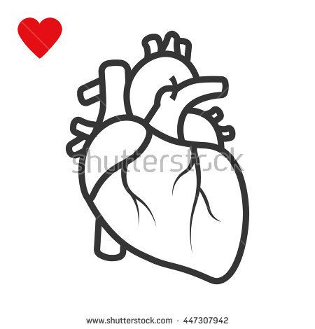 450x470 Realistic Heart Icon Isolated On White Background Vector Mdical