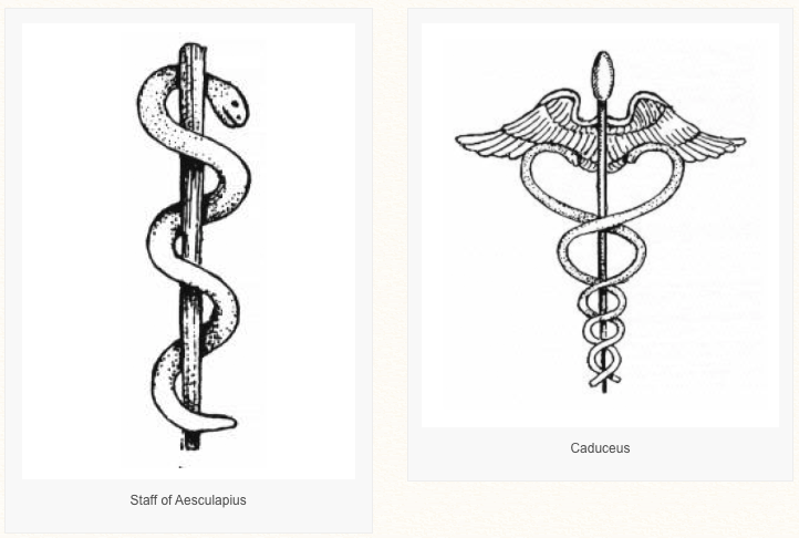 722x486 The Battle Of The Snakes Staff Of Aesculapius Vs Caduceus