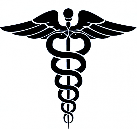 540x508 Medical Wings Medical Icon Vector Logo With Serpent, Snake