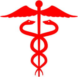 250x248 Health And Medical Symbols Health And Fitness History