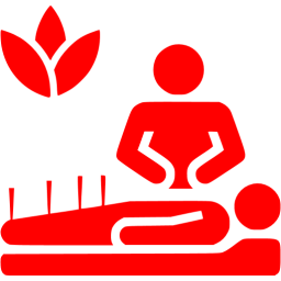 256x256 Red Alternative Medicine Icon