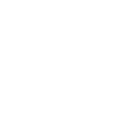 White Megaphone Icon 256x256 White Megaphone Icon