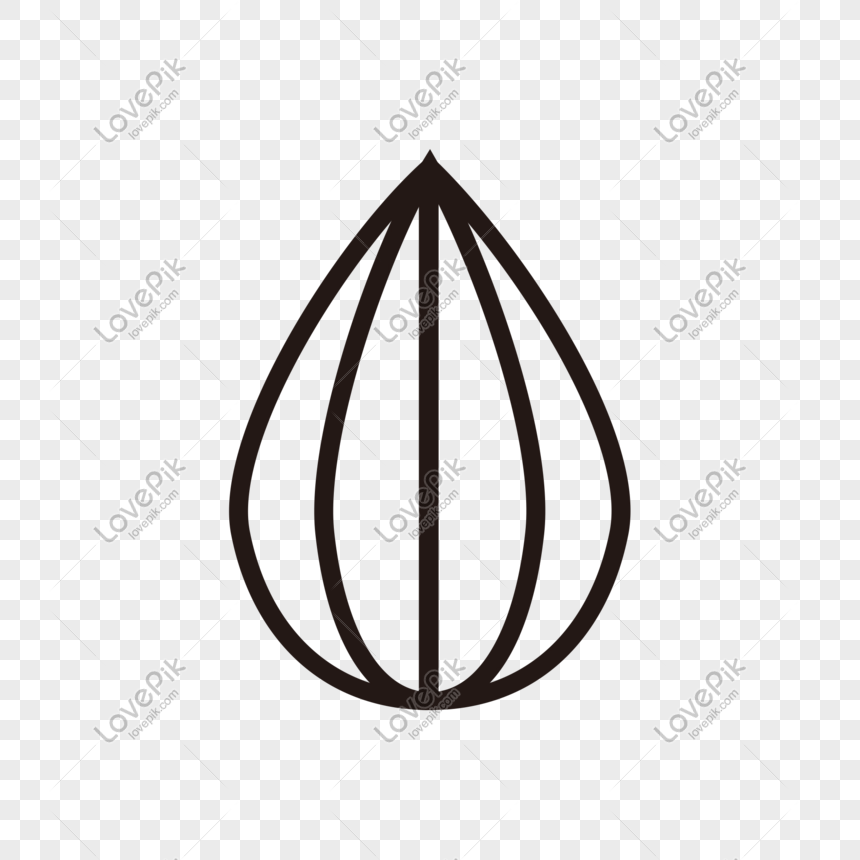 860x860 Cartoon Minimalist Nut Melon Icon Decoration Png Image Picture