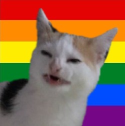 250x251 Meme Icons Tumblr