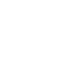 256x256 White Micro Sd Icon