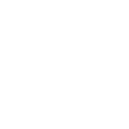 256x256 White Menorah Icon