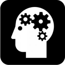 Mental Health Icon Dynamic Martial Arts 270x270 Mental Health Icon Dynamic Martial Arts