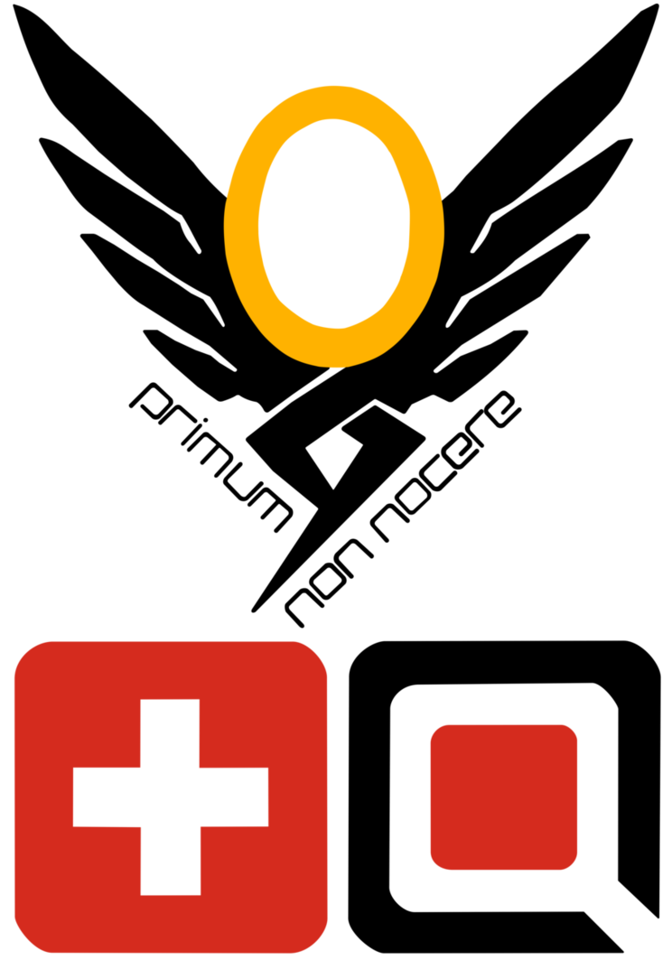 744x1073 Mercy Qol Valkyrie Icon