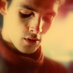 255x255 Merln Contest Round Pick Your Favourite Icon Next Round