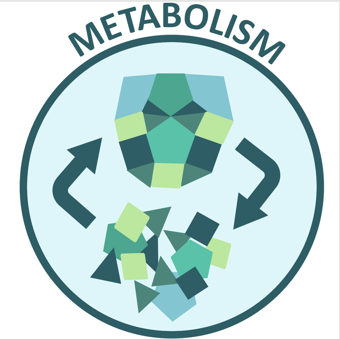1099x1098 Metabolism Icon