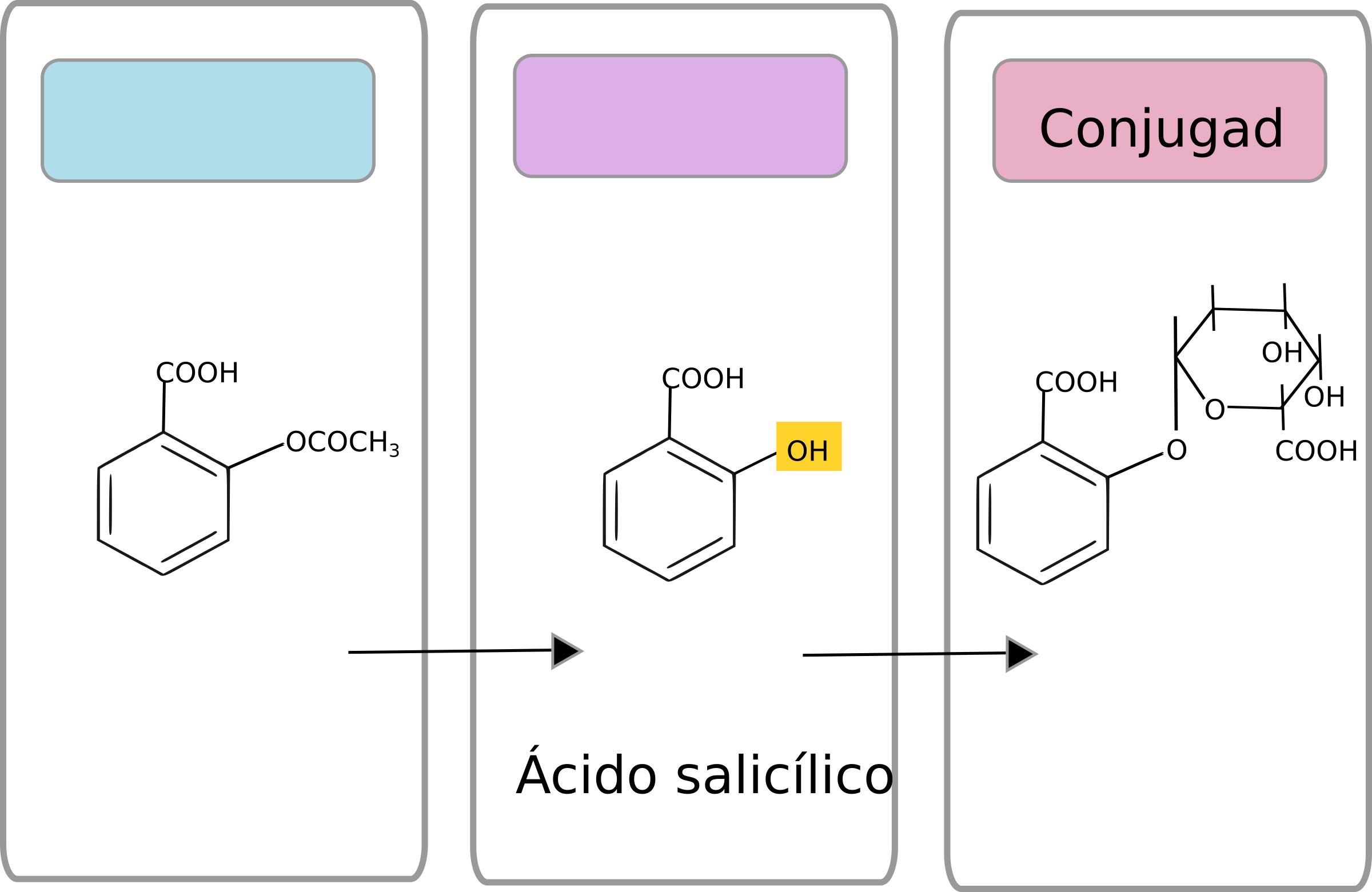 2400x1561 Drug Metabolism Icons Png