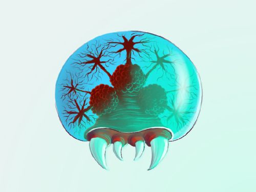 500x375 Metroid Prime Icon