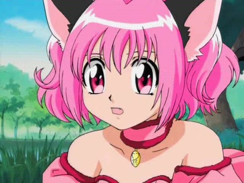 500x375 Ichigo Shared