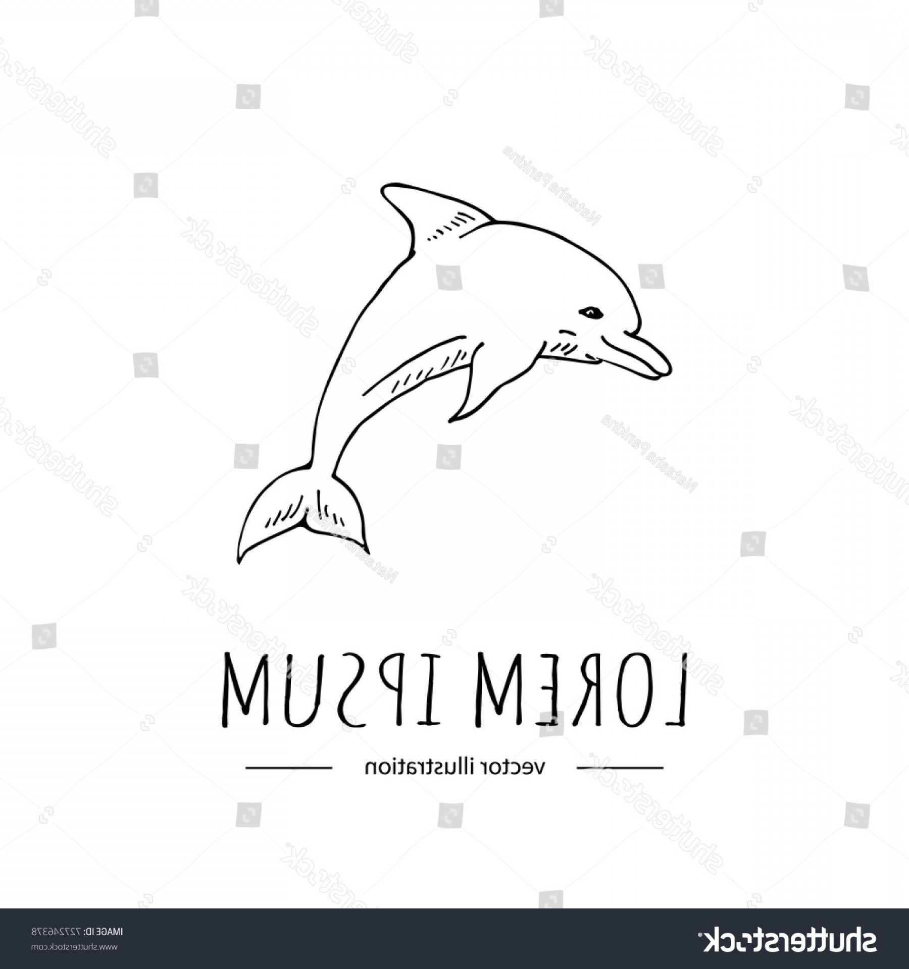 1800x1920 Hand Drawn Doodle Dolphn Isolated Soidergi