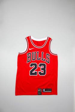 250x375 Michael Jordan Icon Edition Swingman Mens Jersey