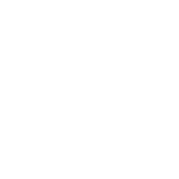 256x256 White Mickey Mouse Icon