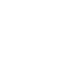 256x256 White Mickey Mouse Icon