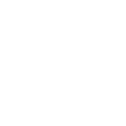 256x256 Free White Micro Sd Icon