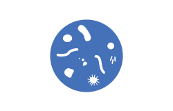 Microbiology 250x161 Microbiology