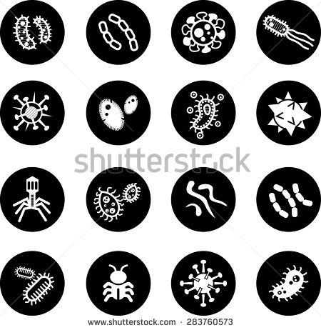 Bacteria, Virus Icons Set Icons Icon Set, Body Art, Microbiology 450x462 Bacteria, Virus Icons Set Icons Icon Set, Body Art, Microbiology