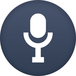 256x256 Mic Icon