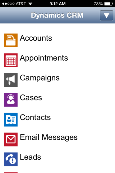 370x556 Microsoft Dynamics Crm Iphone App Look