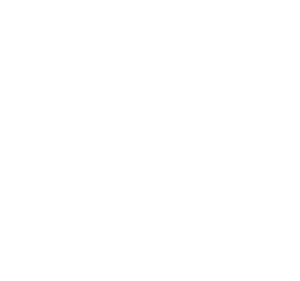 300x281 Ticketing Software