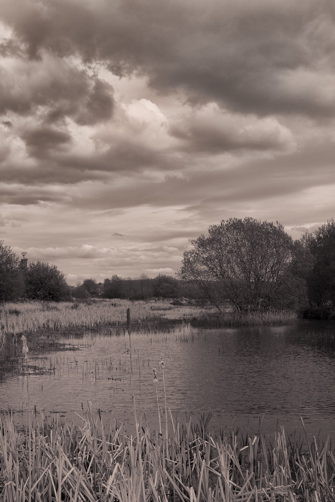 683x1024 Clogheen Millicon Vi Fergal O'callaghan