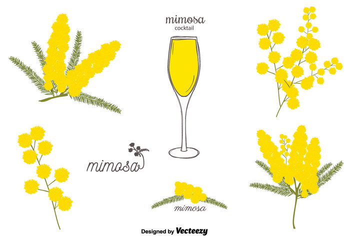 700x490 Free Mimosa Vector Set Free Vectors Ui Download