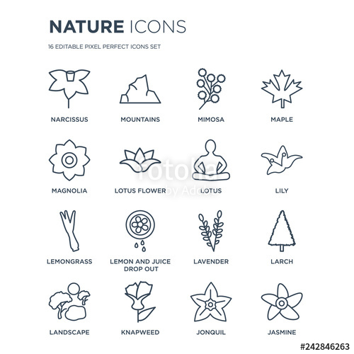 500x500 Linear Nature Icons Such As Narcissus, Mountains, Knapweed