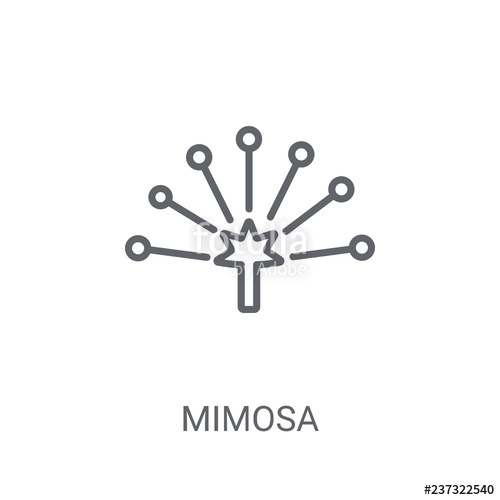 500x500 Mimosa Icon Trendy Mimosa Logo Concept On White Background