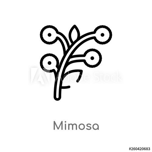 500x500 Outline Mimosa Vector Icon Isolated Black Simple Line Element