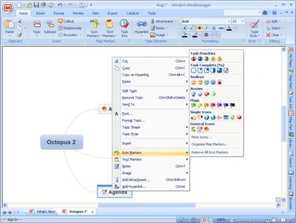 1020x766 Mindmanager