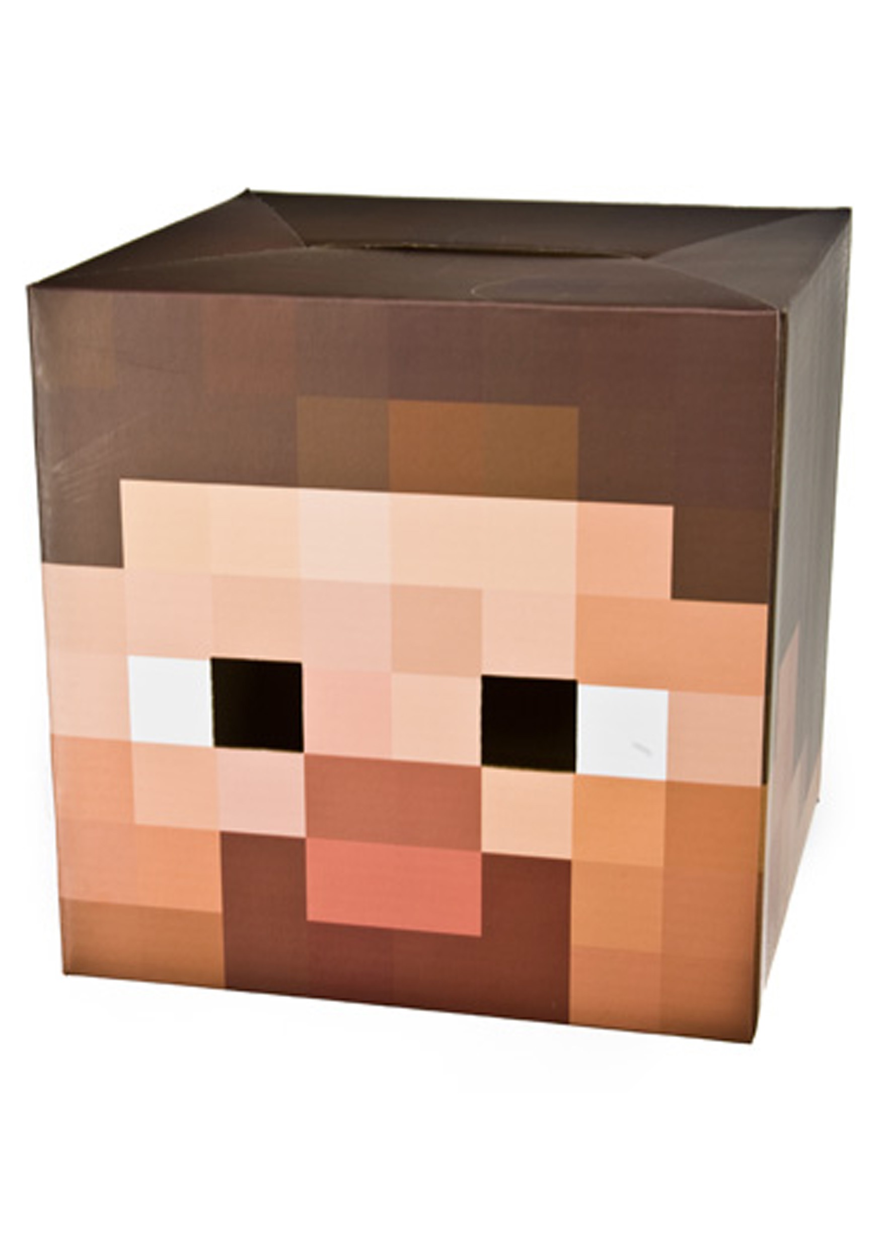 1750x2500 Minecraft Steve Head