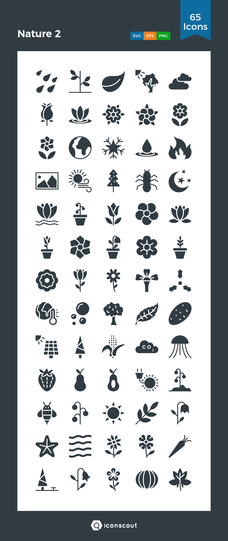 735x1745 Nature Icon Pack