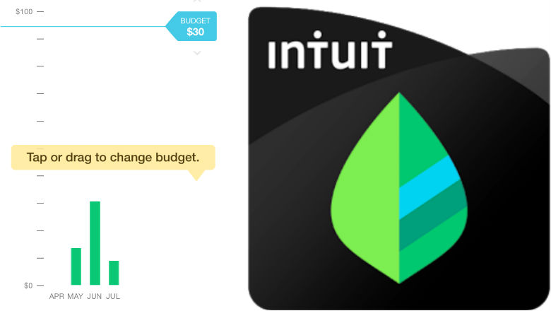 780x440 How To Use Mint Finance App