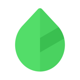 256x256 Mint Icon Free Of Kvasir Free Icons