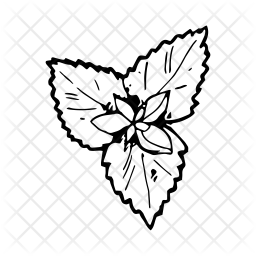 256x256 Mint Icon Of Doodle Style