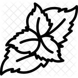256x256 Mint Icon Of Line Style